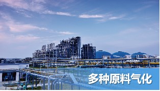 多种原料气化